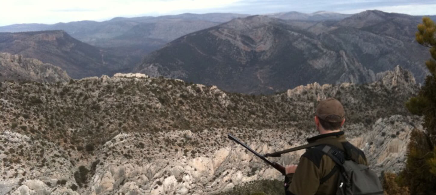 modalidades-de-caza-en-españa