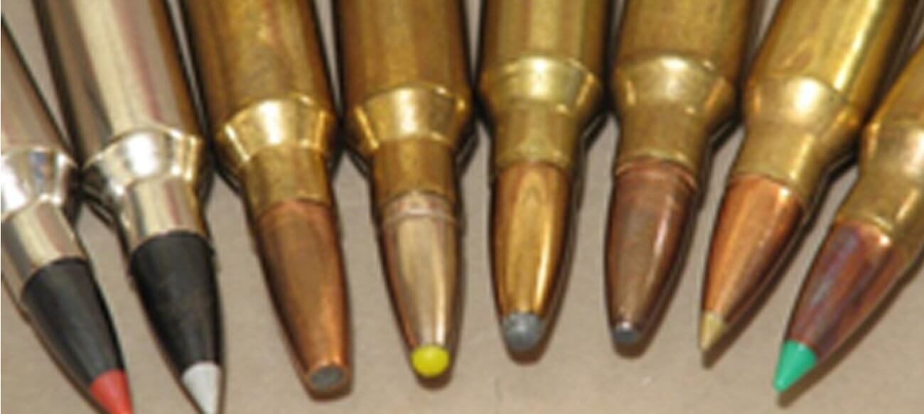 calibres de caza mayor