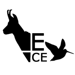 escuela cinegética española