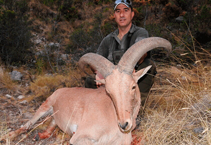 Escuela Cinegética Española- Eleva tus conocimientos con una formación práctica con expertos