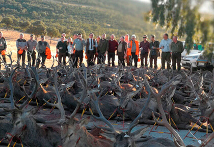 Escuela Cinegética Española- Eleva tus conocimientos con una formación práctica con expertos
