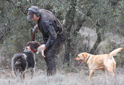 Escuela Cinegética Española- Eleva tus conocimientos con una formación práctica con expertos