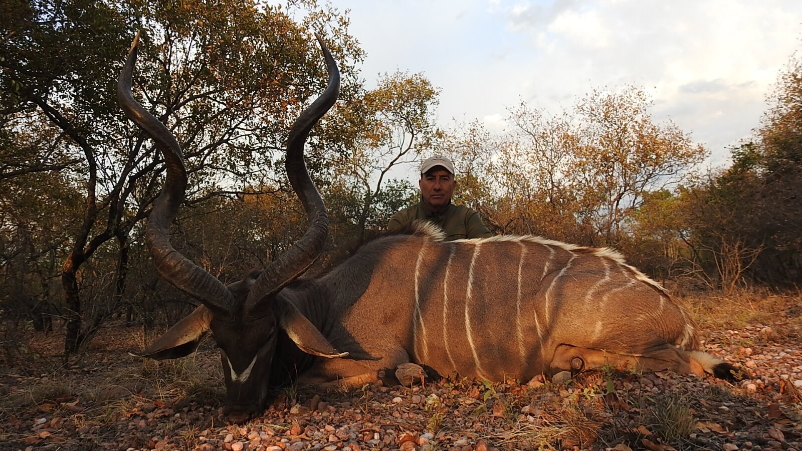 Escuela Cinegética Española- Eleva tus conocimientos con una formación práctica con expertos
